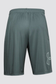 files/MenUnderArmourHeatGearShortsTeal_1.png